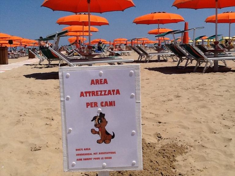 miglior spiaggia a rimini Bagno 84